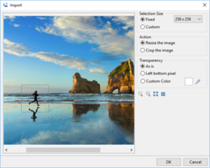 IcoFx Main Window